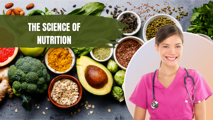 bachelor of science degree in nutrition and dietetics, health nutrition, food and nutrition sciences, online master's in nutrition and exercise science,